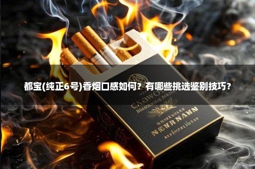 都宝(纯正6号)香烟口感如何?有哪些挑选鉴别技巧?